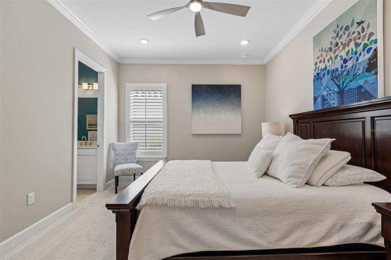 4795 Freccia Loop , Wesley Chapel, FL 33543 Photo