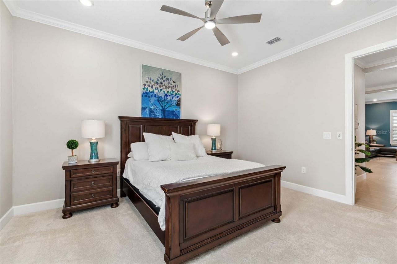 4795 Freccia Loop , Wesley Chapel, FL 33543 Photo