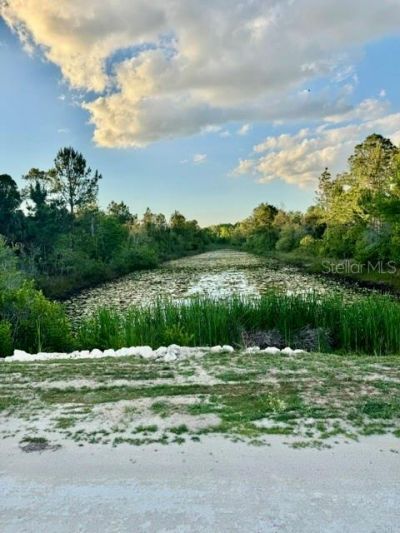 Rapidan Road, Weeki Wachee, FL 34614 Photo
