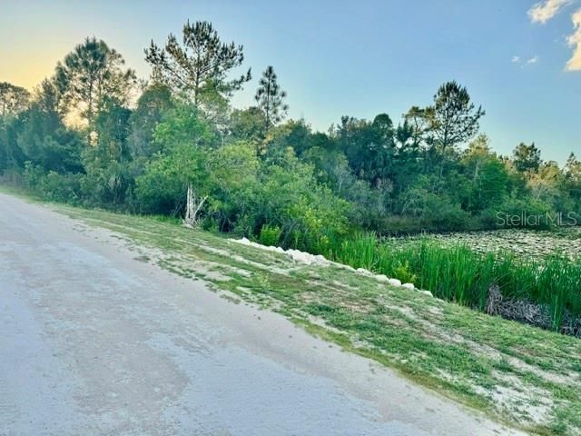 Rapidan Road, Weeki Wachee, FL 34614 Photo