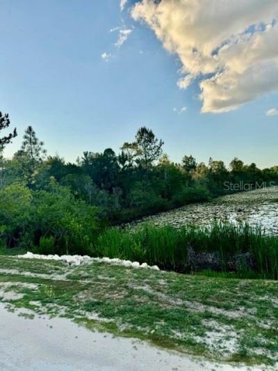Rapidan Road, Weeki Wachee, FL 34614 Photo