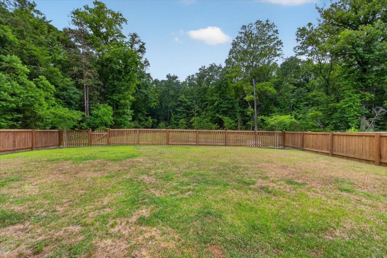 1667 Evening Star Place Photo 41