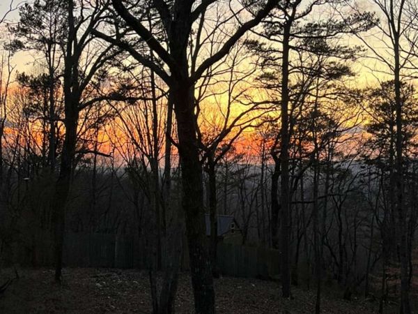 437 Mccurry Trail, Canton, GA 30114