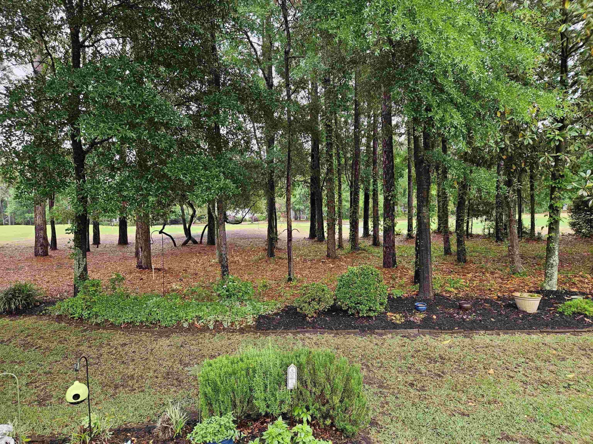 233 Deacon Dr. Photo 46