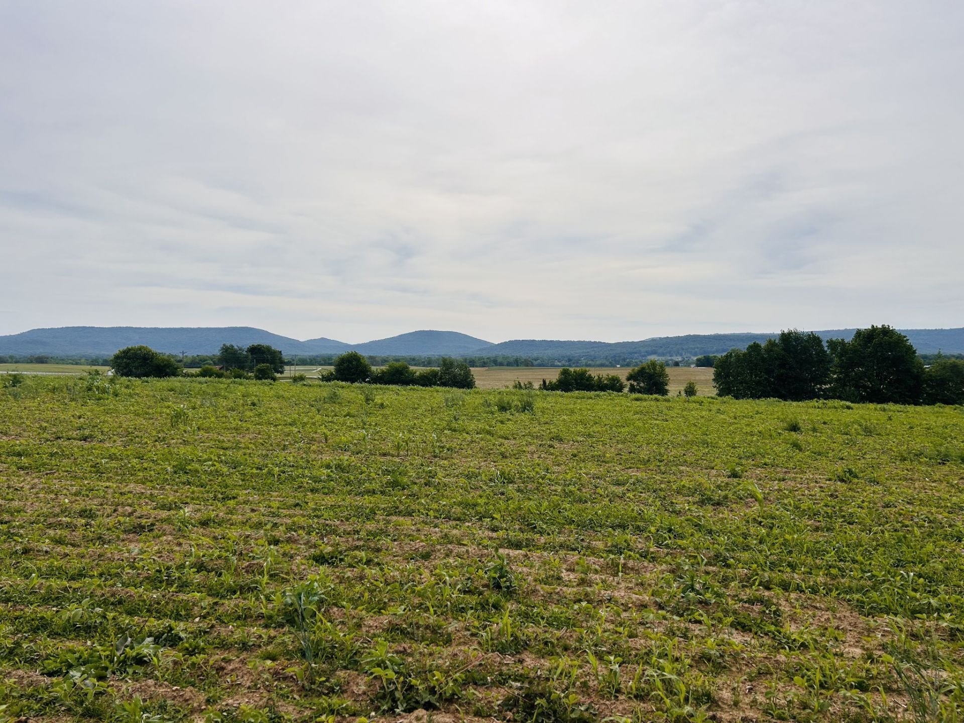 235 Breezy Knoll Ln , Morrison, TN 37357 Main Photo