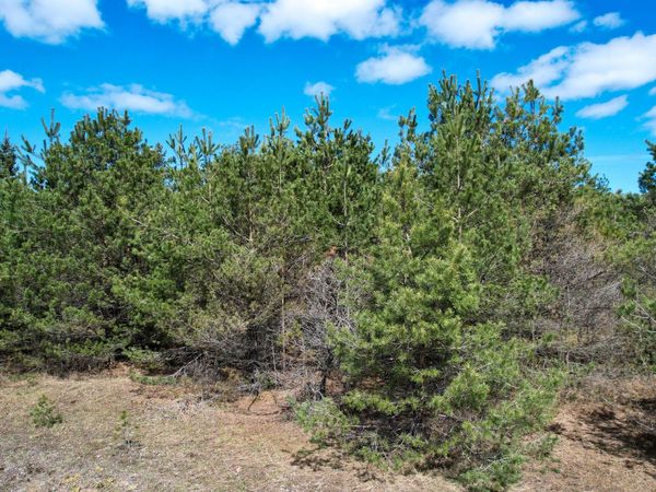 2.83 AC N Black River Road, Cheboygan, MI 49721