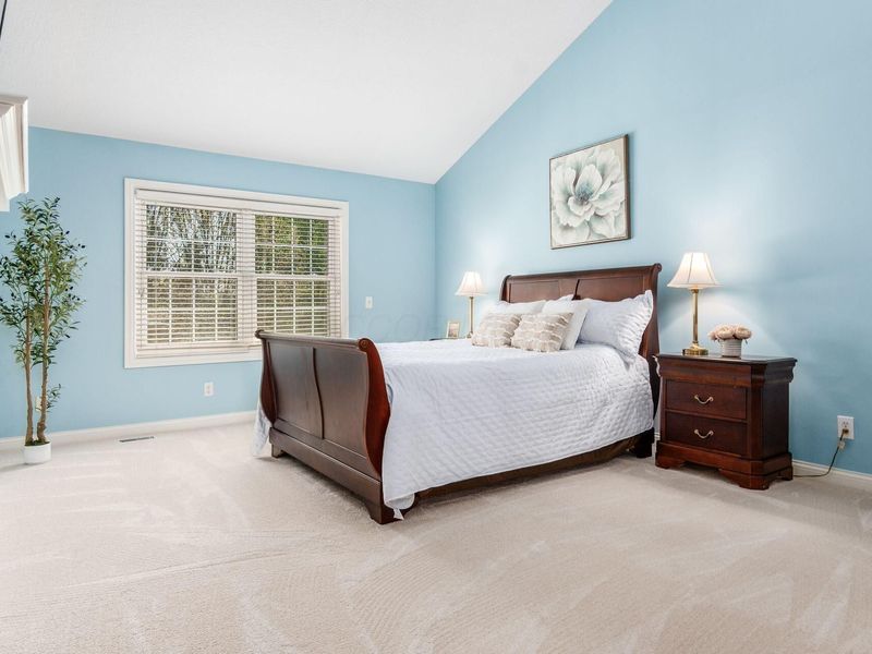 7439 Sand Spurrey Court, Westerville, OH 43082 Photo 37