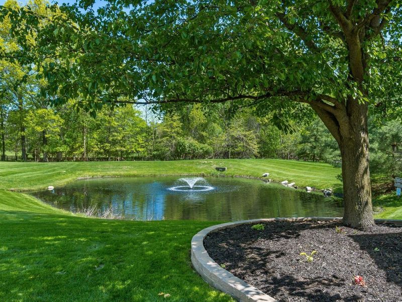 7439 Sand Spurrey Court, Westerville, OH 43082 Photo 9