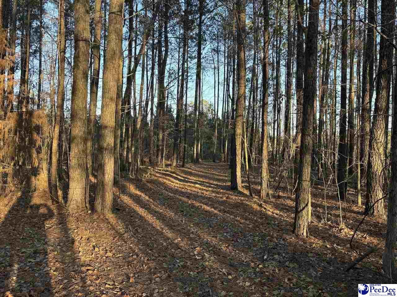 1325 Cubie Rd. Photo 10