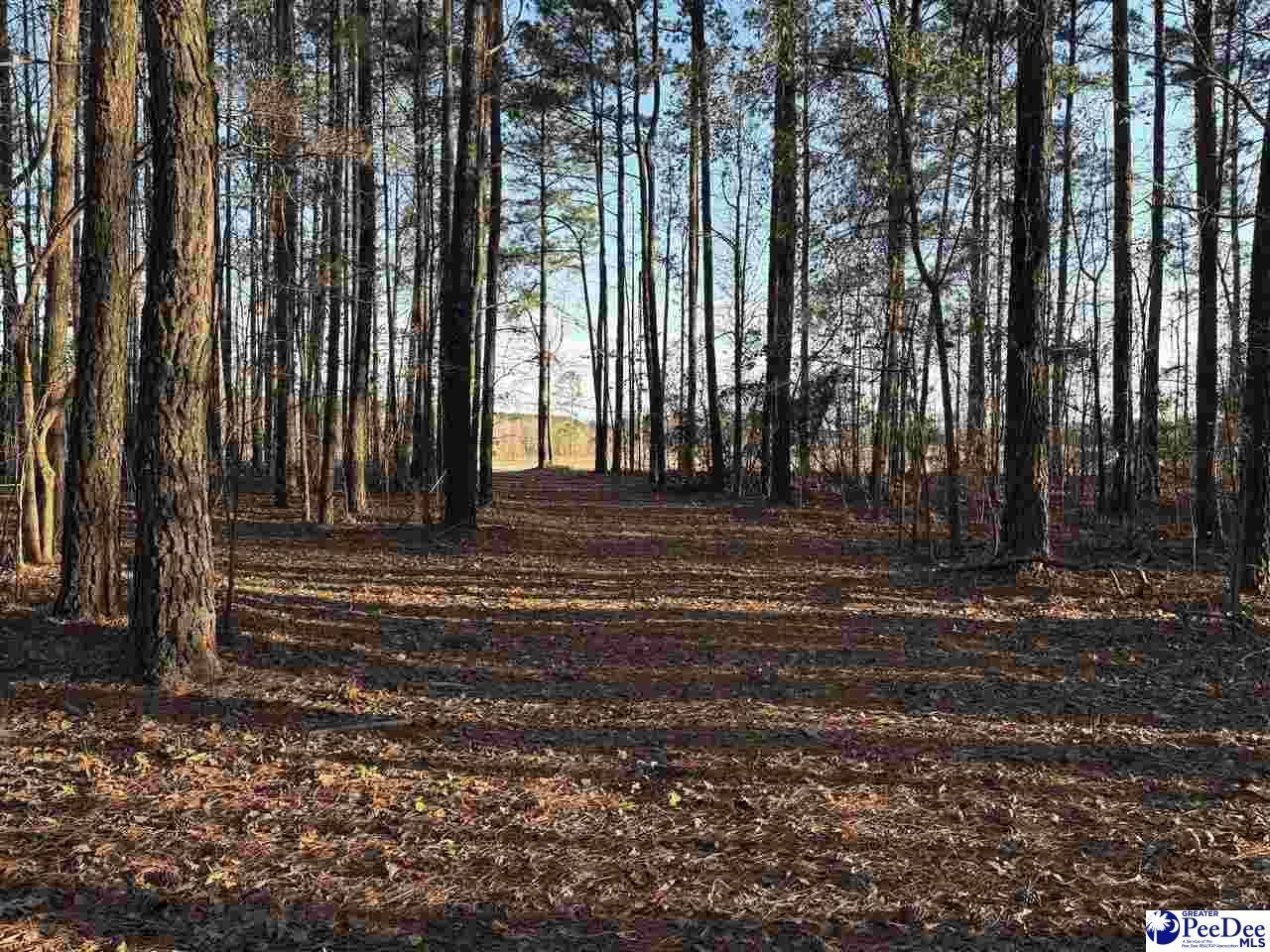 1325 Cubie Rd. Photo 11