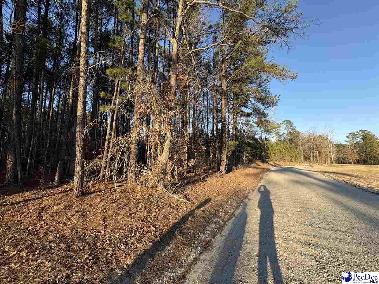 1325 Cubie Rd. Photo 12