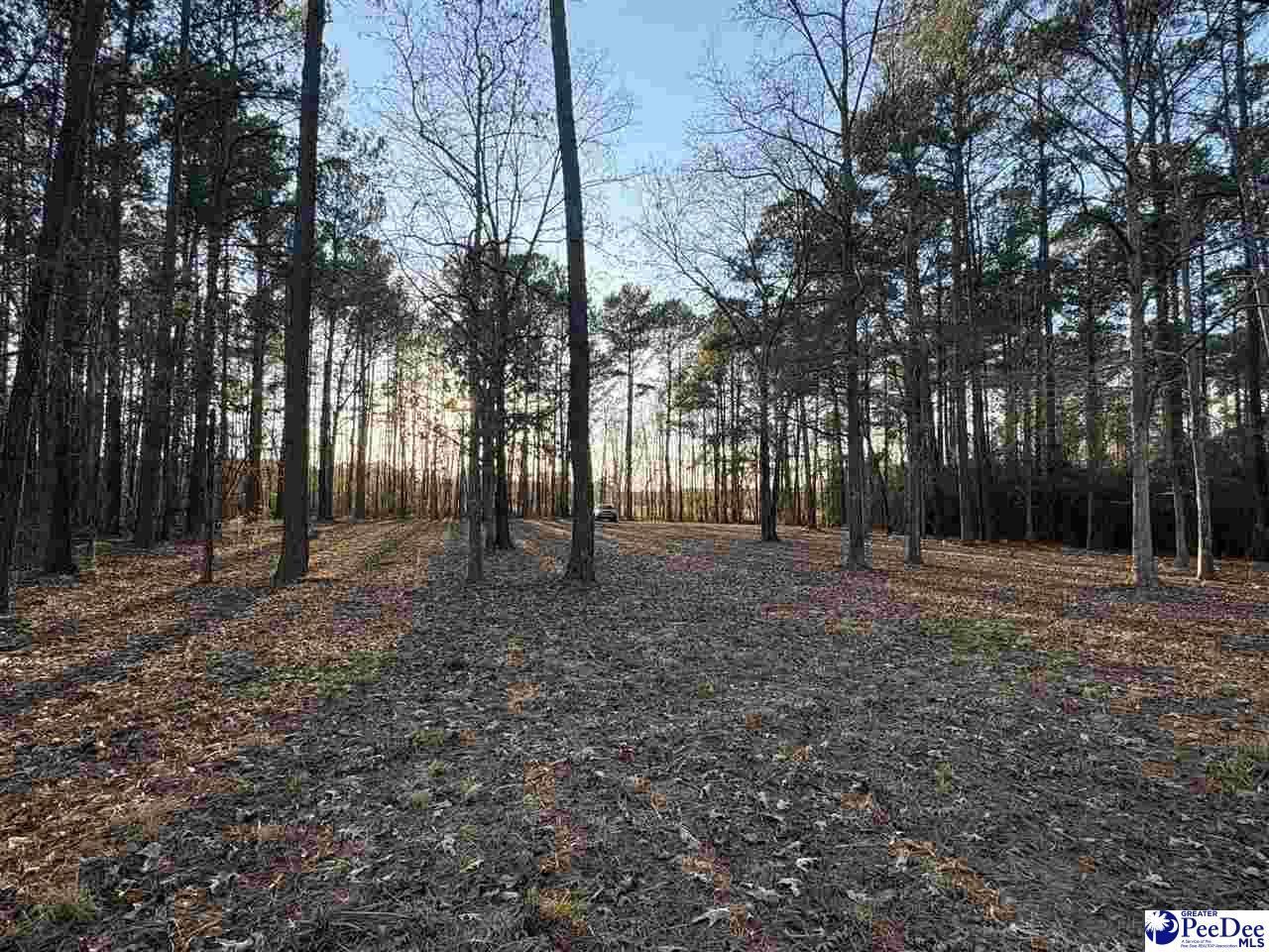 1325 Cubie Rd. Photo 4