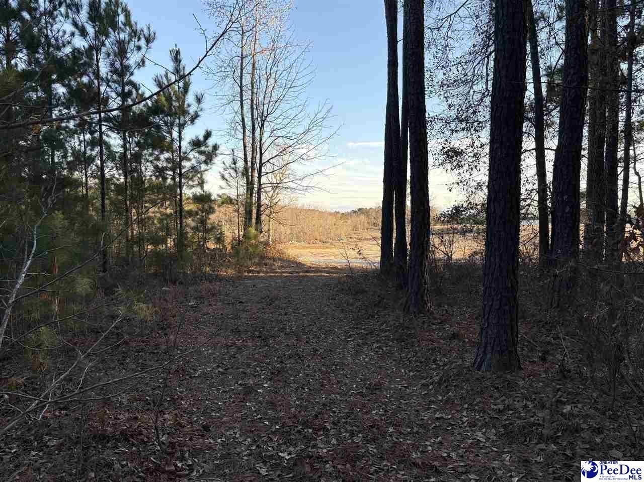 1325 Cubie Rd. Photo 5