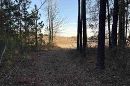 1325 Cubie Rd. photo 4