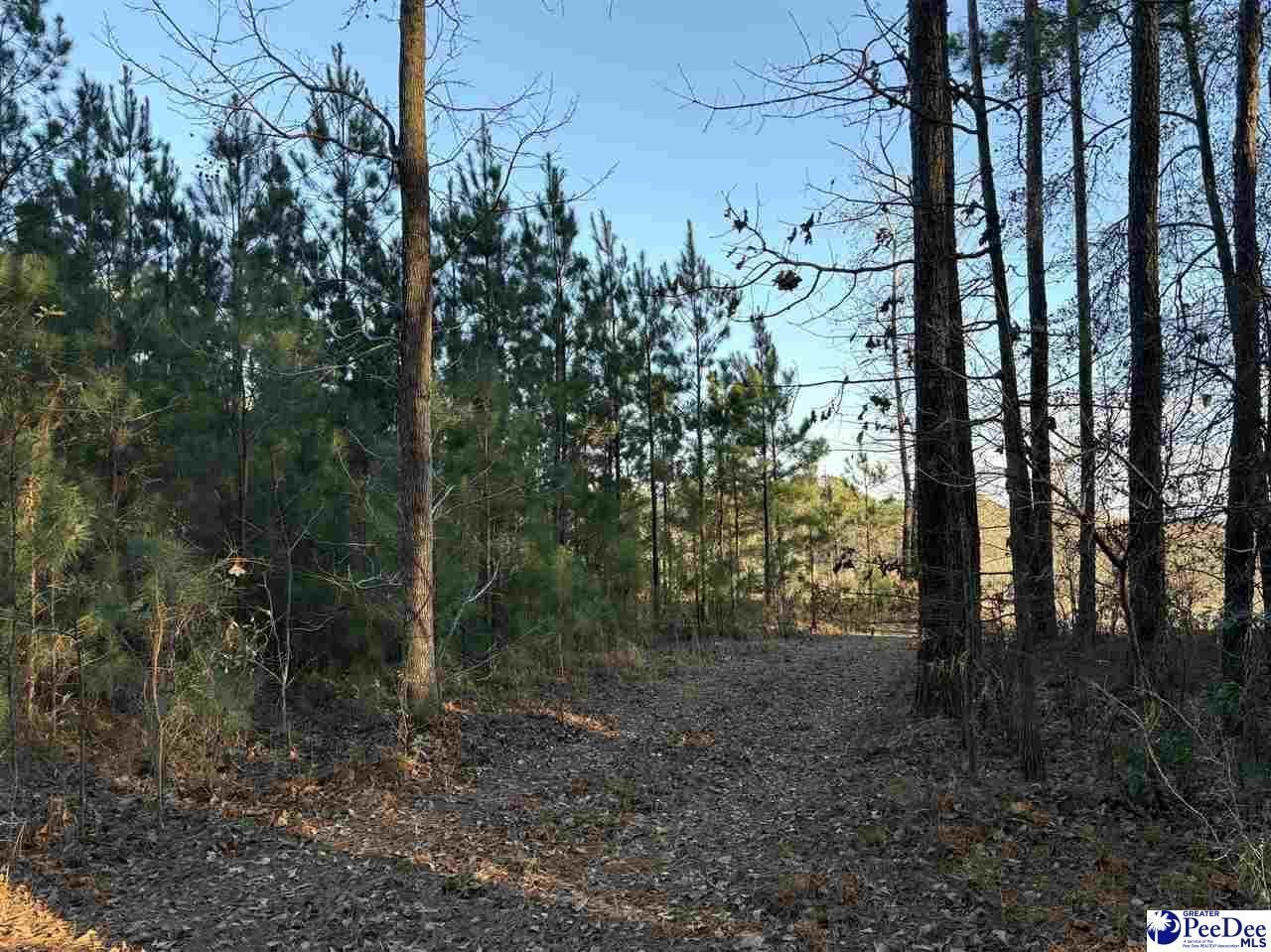 1325 Cubie Rd. Photo 6