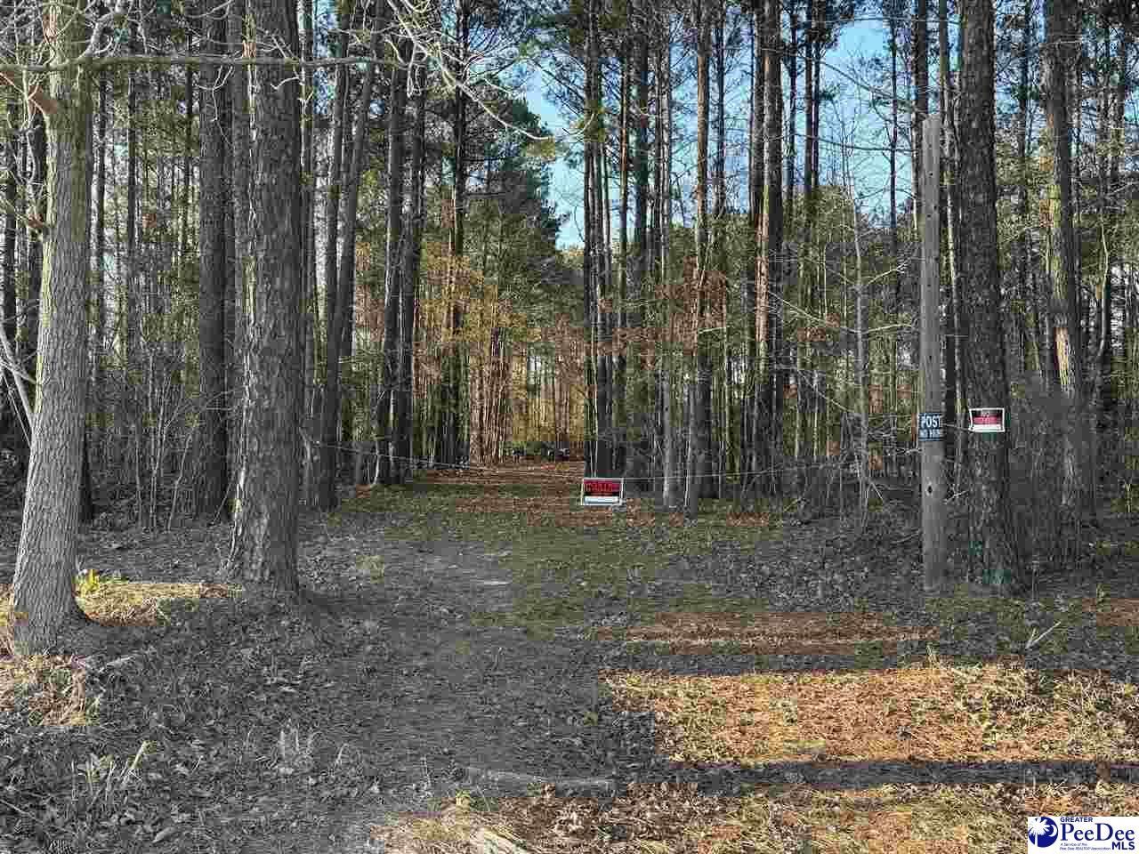 1325 Cubie Rd. Photo 7