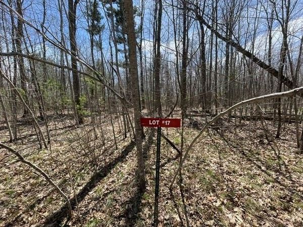 0 White Oak Trail, Hayward, WI 54843