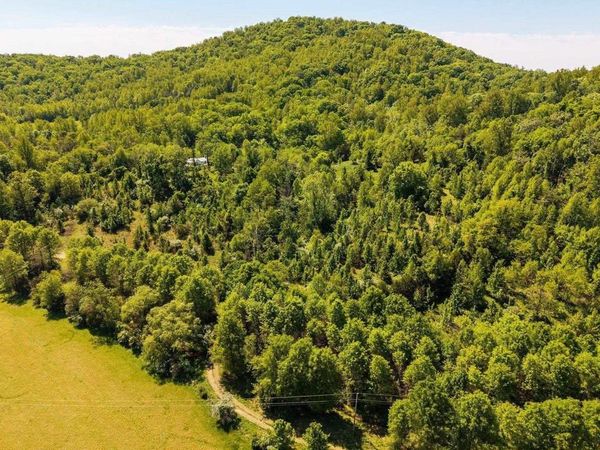 2255 BOONESVILLE RD, DYKE, VA 22935
