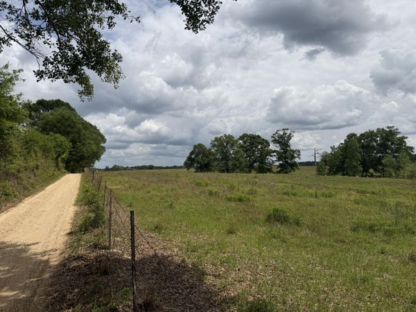 18 Acres Good Hill, Lumberton, MS 39455