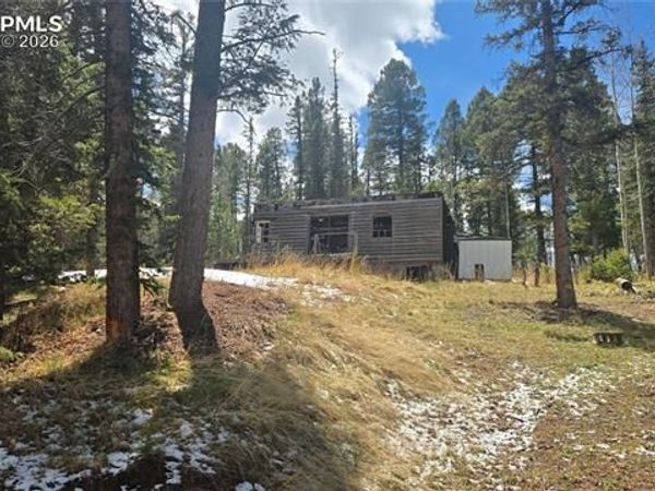 129 Mt Elbert Road, Florissant, CO 80816
