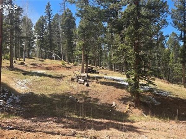 151 Mt Elbert Road, Florissant, CO 80816