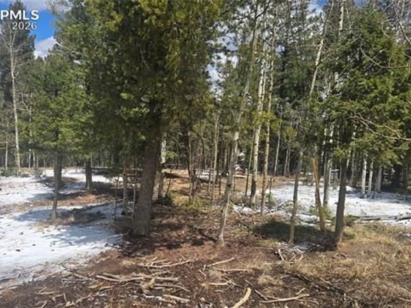 144 Little Bear Peak Road, Florissant, CO 80816
