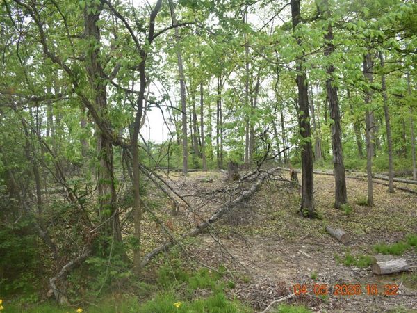 0 Schlitz, Unit 208, Fayetteville, OH 45118