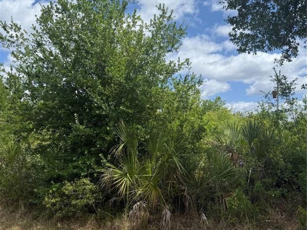 12090 ZITTLE AVENUE , PORT CHARLOTTE, FL 33981