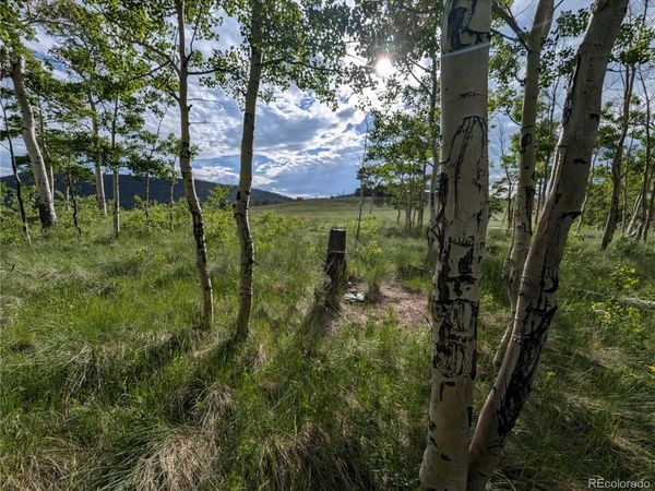 2433 Petito Drive , Fort Garland, CO 81133