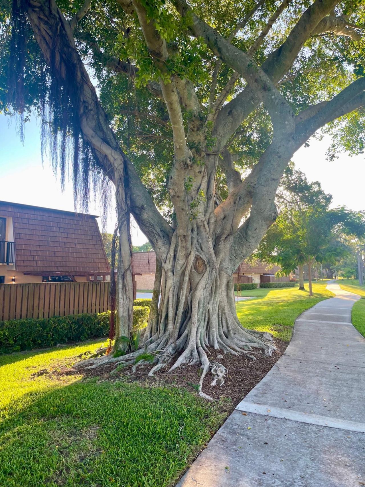 501 5th Lane, Greenacres, FL 33463 Photo