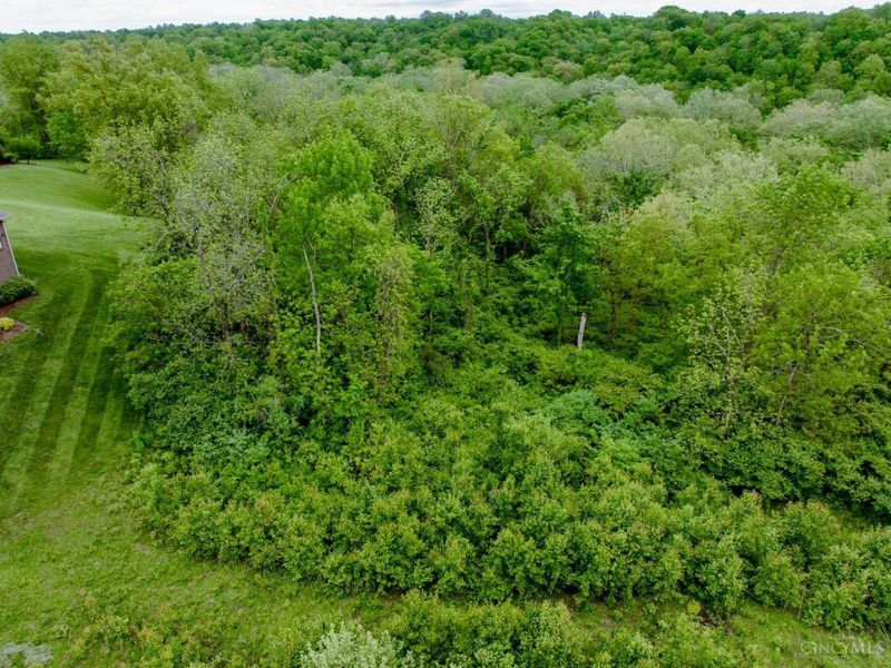 0 Kings View Court, Deerfield Twp., OH 45034 Photo 15
