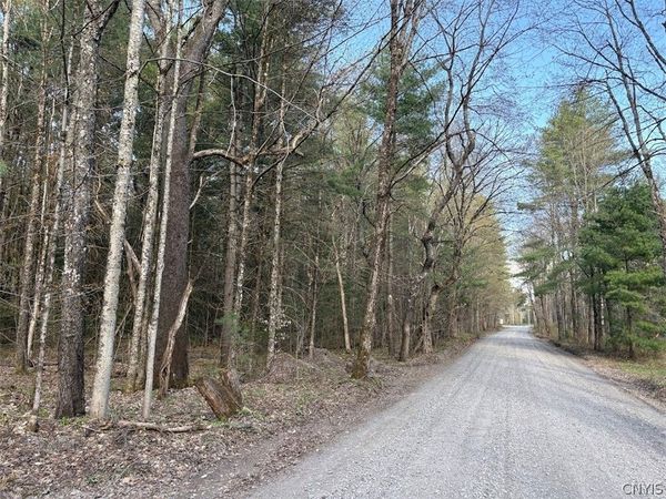 Stormy Hill Road , Cold Brook, NY 13324