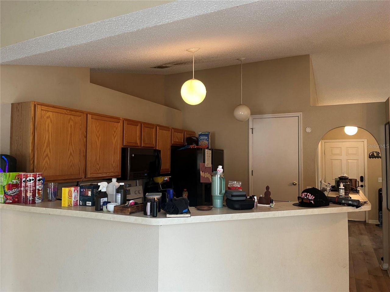4 Inconnu Drive , Kissimmee, FL 34759 Photo