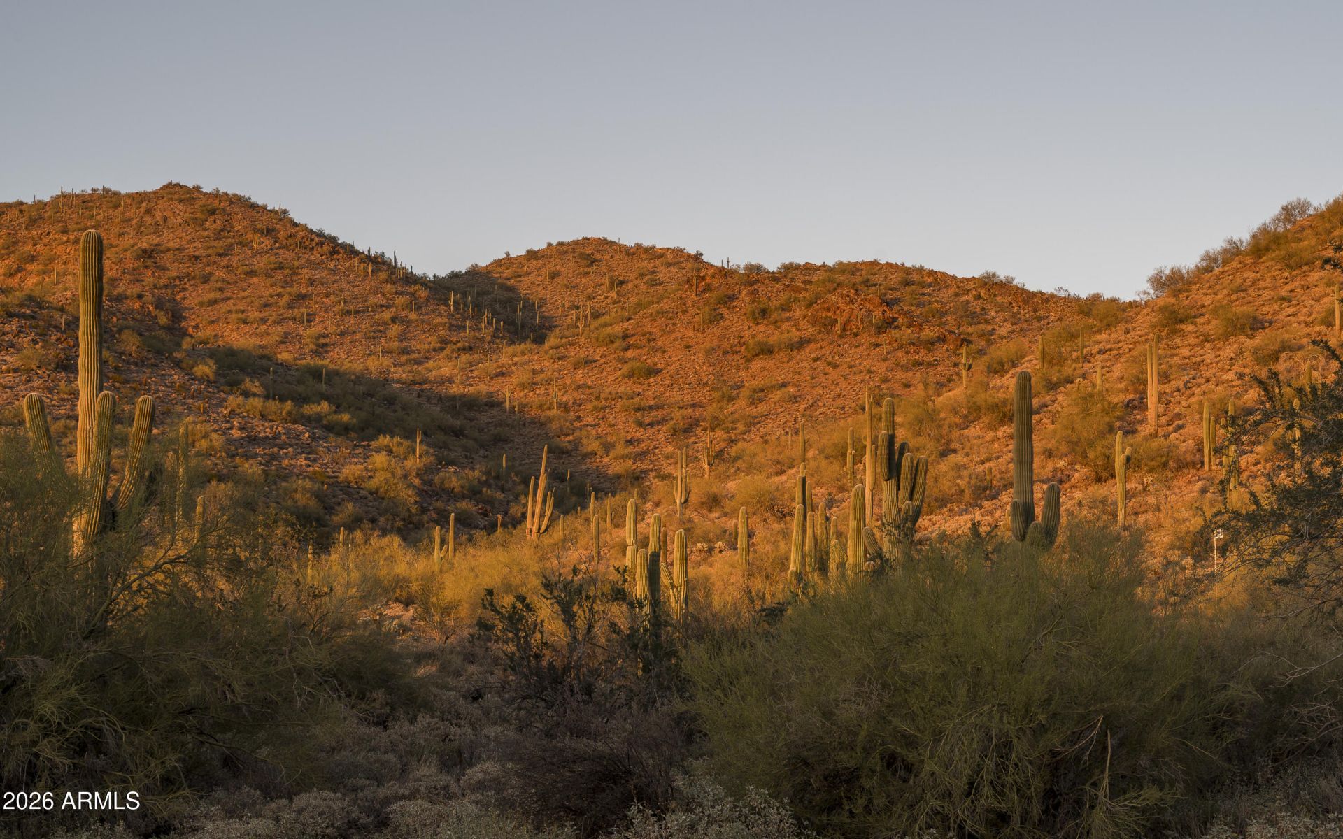 10500 E Lost Canyon Drive, Lot #23, Scottsdale, AZ 85255 Main Photo