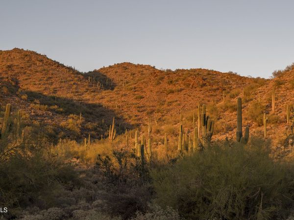 10500 E LOST CANYON Drive, Unit 23, Scottsdale, AZ 85255