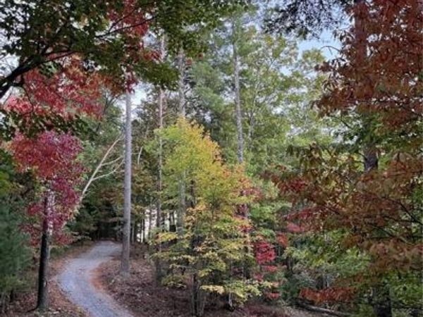 0 Pleasant Hill Trail , Ellijay, GA 30540
