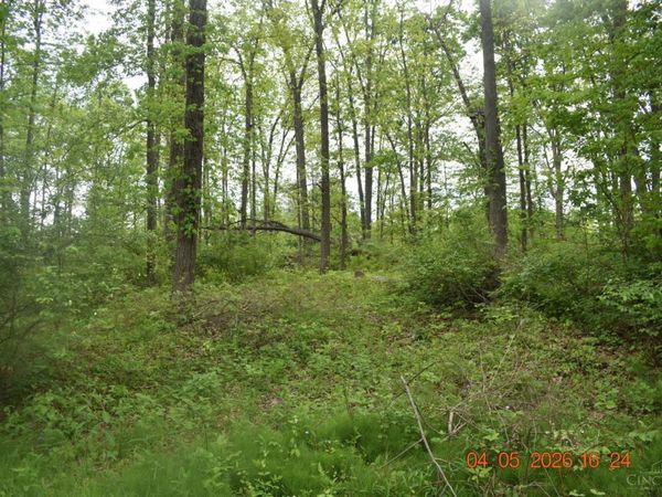 209 Schlitz, Unit 209, Fayetteville, OH 45118