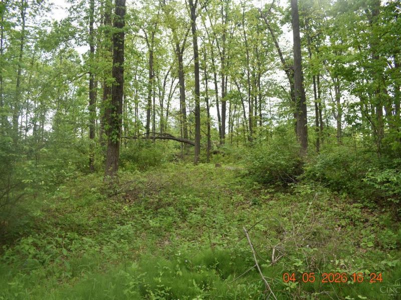 209 Schlitz Drive, Unit 209, Perry Twp, OH 45118 Photo 1