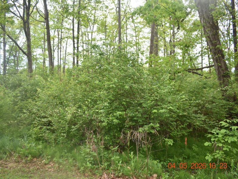 209 Schlitz Drive, Unit 209, Perry Twp, OH 45118 Photo 2
