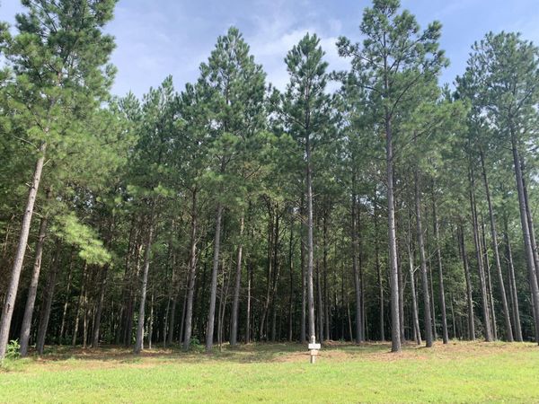 5140 Crockett , Jasper, TN 37347