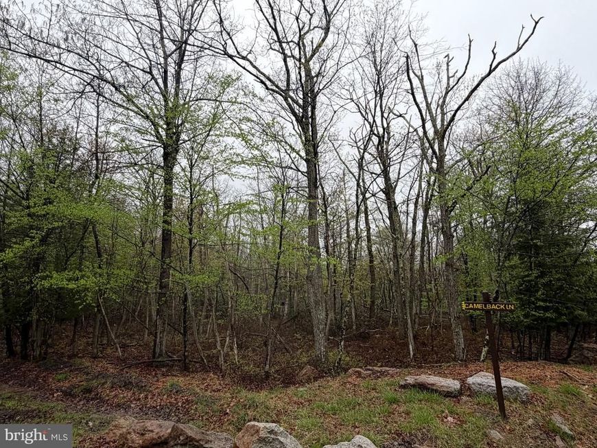 571 Haystack Drive , Zion Grove, PA 17985 Main Photo
