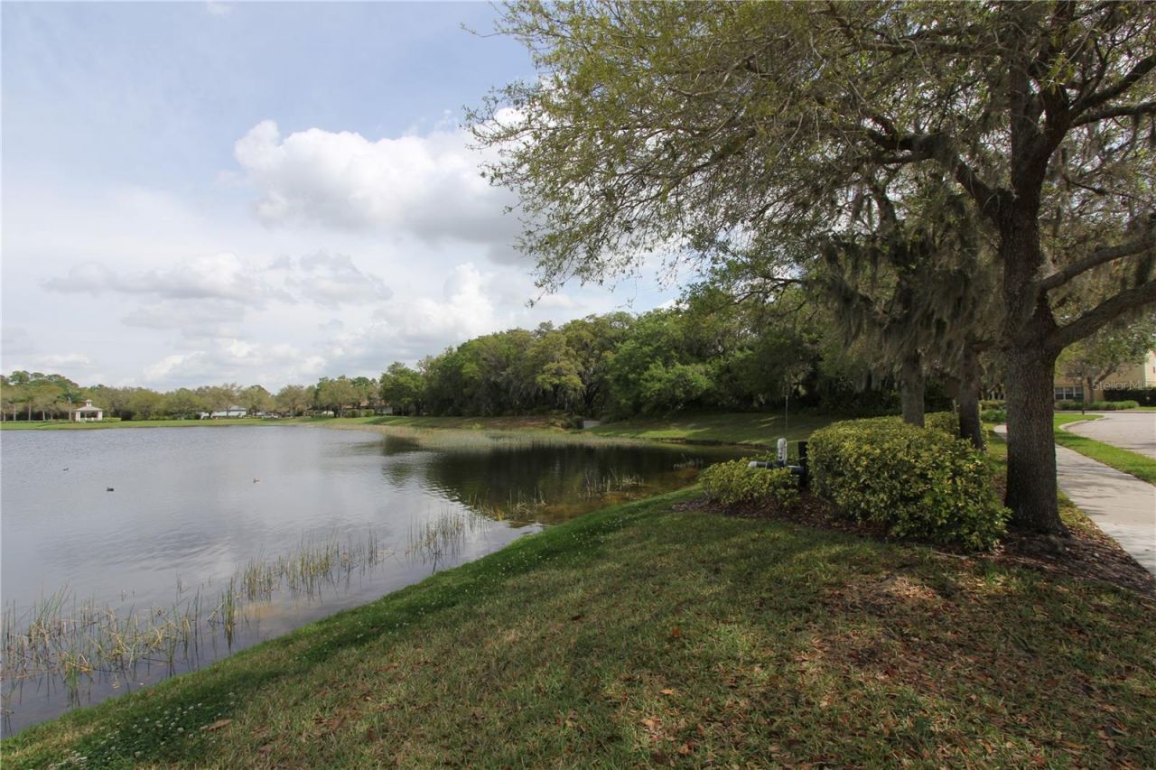 11717 Crawford Parrish Lane, Parrish, FL 34219 Photo