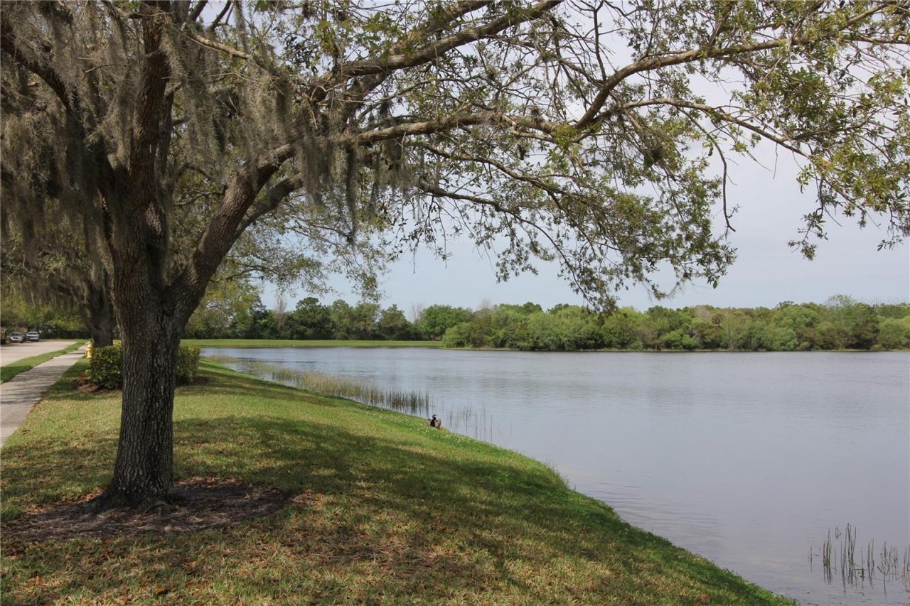 11717 Crawford Parrish Lane, Parrish, FL 34219 Photo