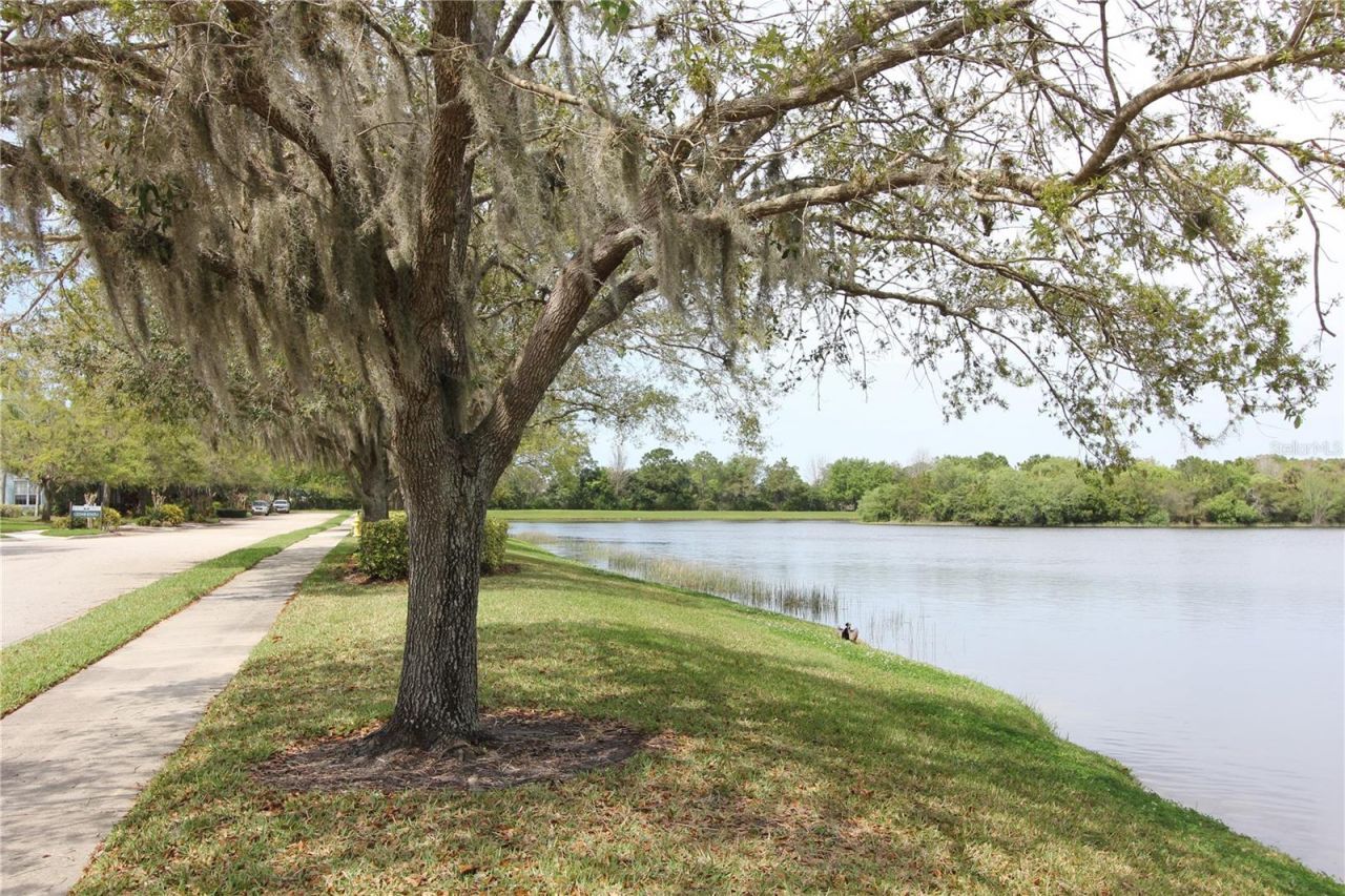 11717 Crawford Parrish Lane, Parrish, FL 34219 Photo