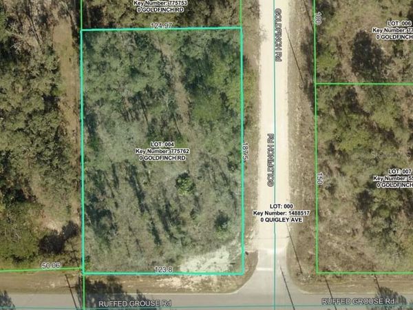 GOLDFINCH ROAD , WEEKI WACHEE, FL 34614
