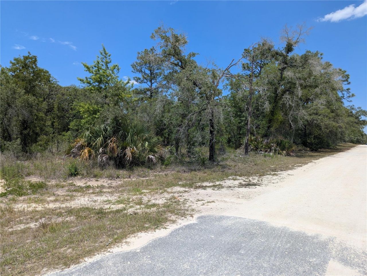 Goldfinch Road , Weeki Wachee, FL 34614 Photo