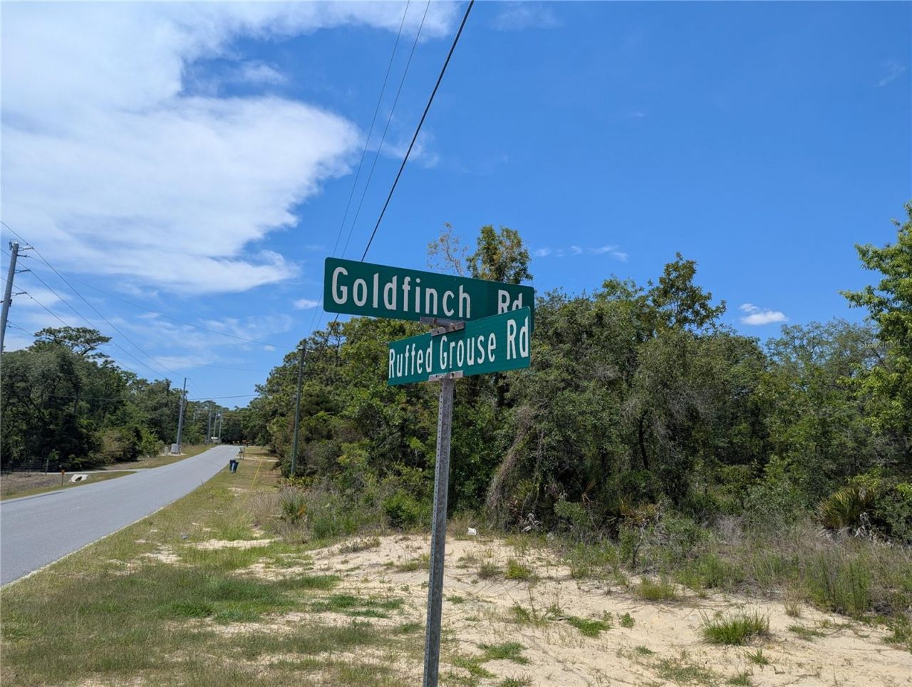 Goldfinch Road , Weeki Wachee, FL 34614 Photo