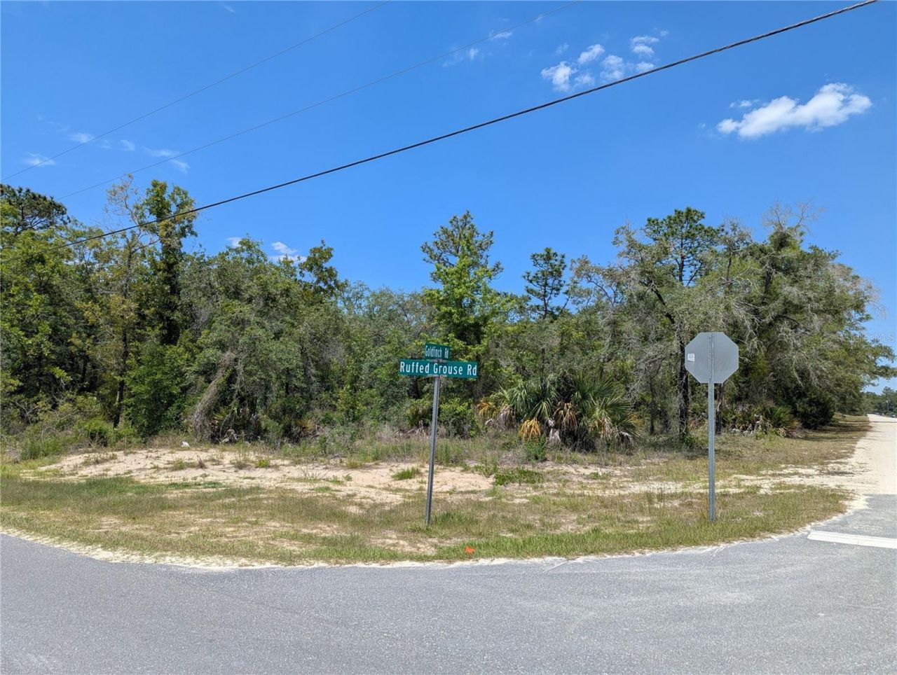 Goldfinch Road , Weeki Wachee, FL 34614 Photo