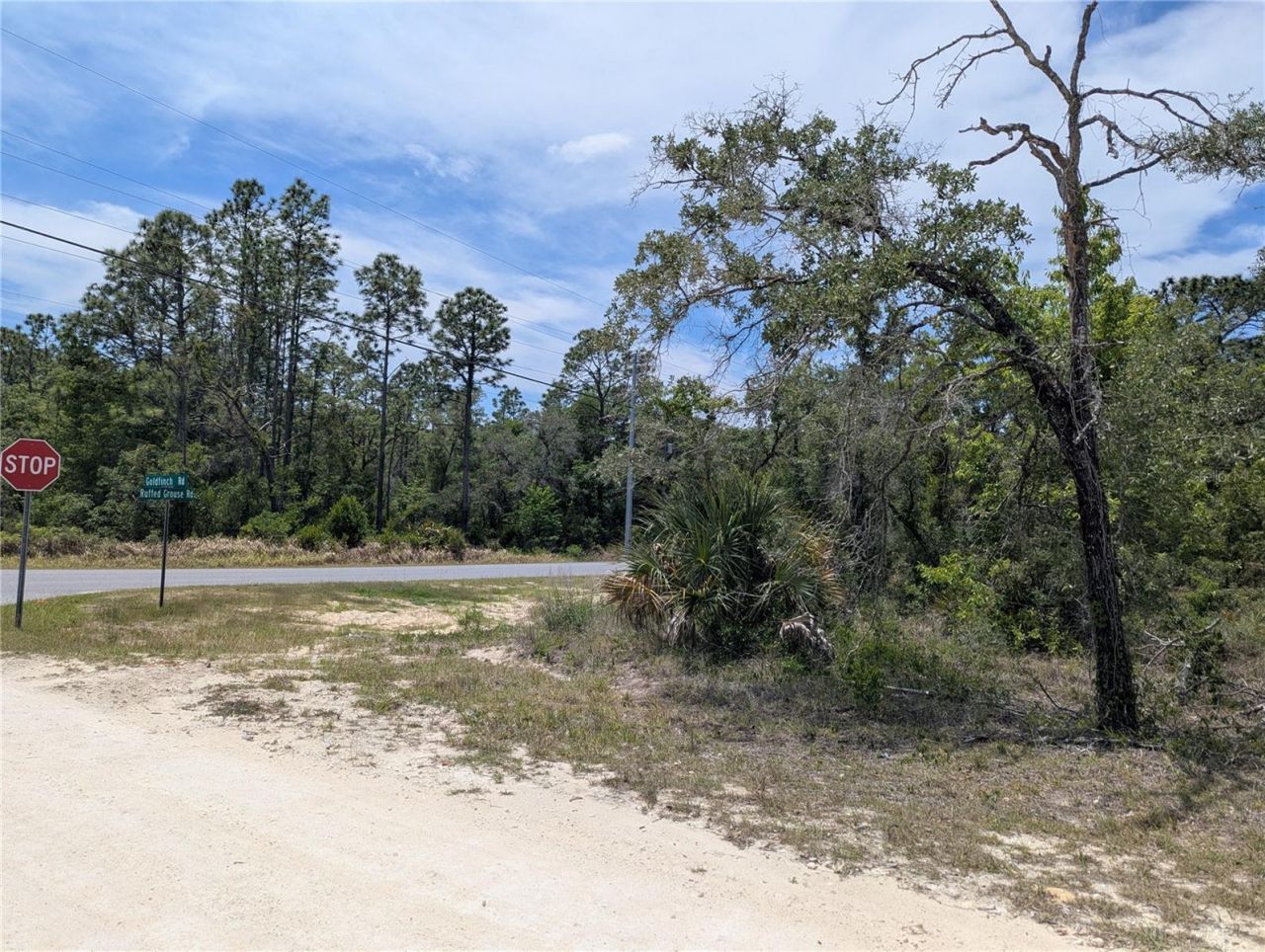 Goldfinch Road , Weeki Wachee, FL 34614 Photo