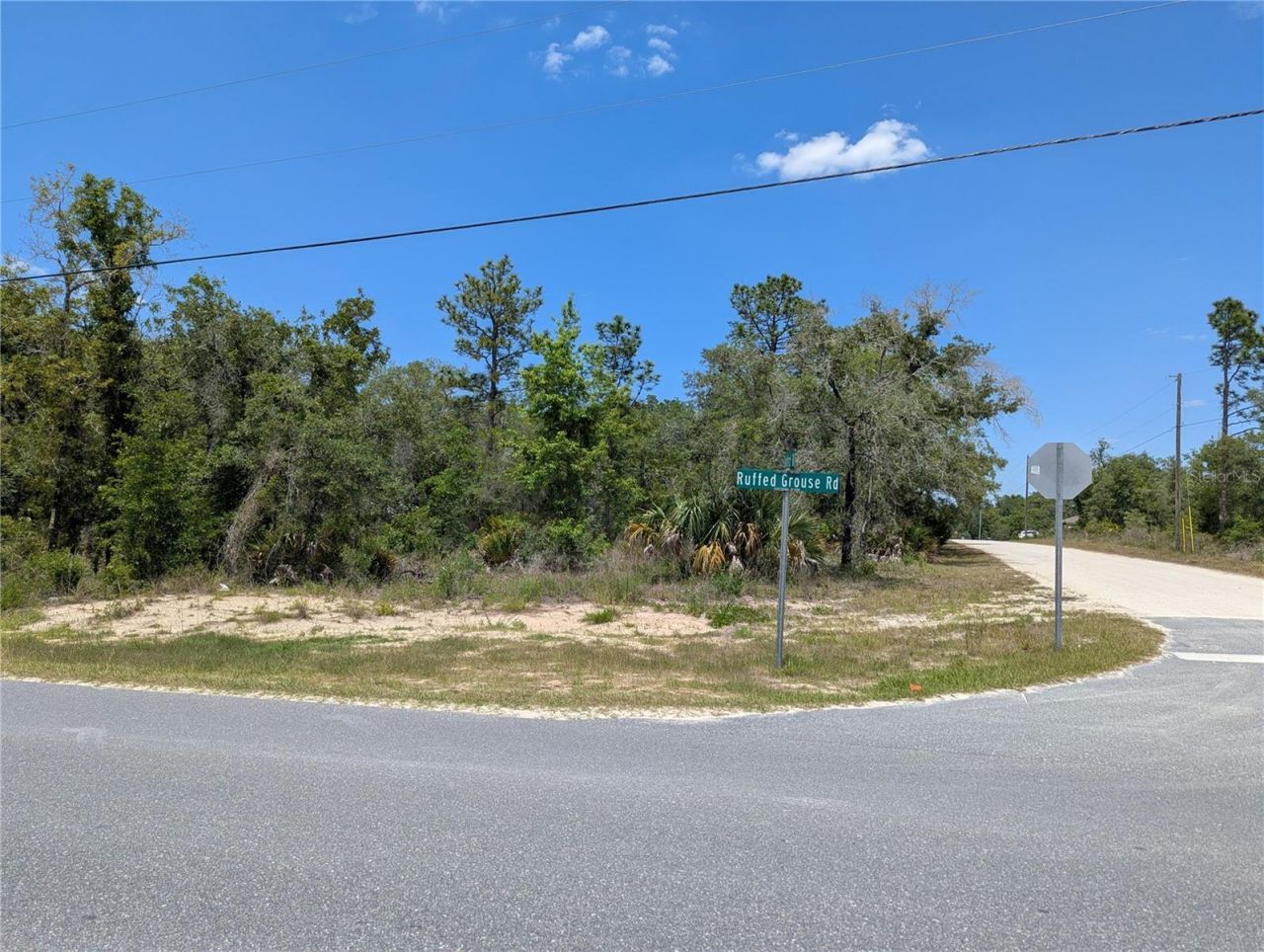 Goldfinch Road , Weeki Wachee, FL 34614 Photo